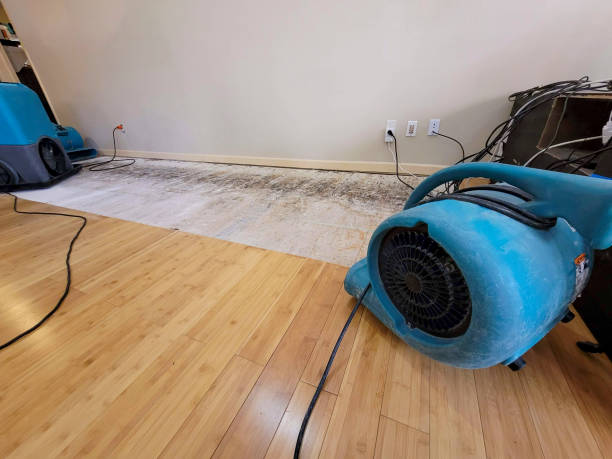 Professional Flood Damage Cleanup technician working in Edinburg, TX